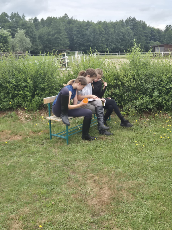 Příměstský jezdecký tábor I 6.7.-10.7.2026