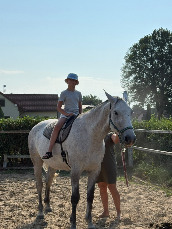 Přírodovědný příměstský tábor 27.7.-31.7. 2026