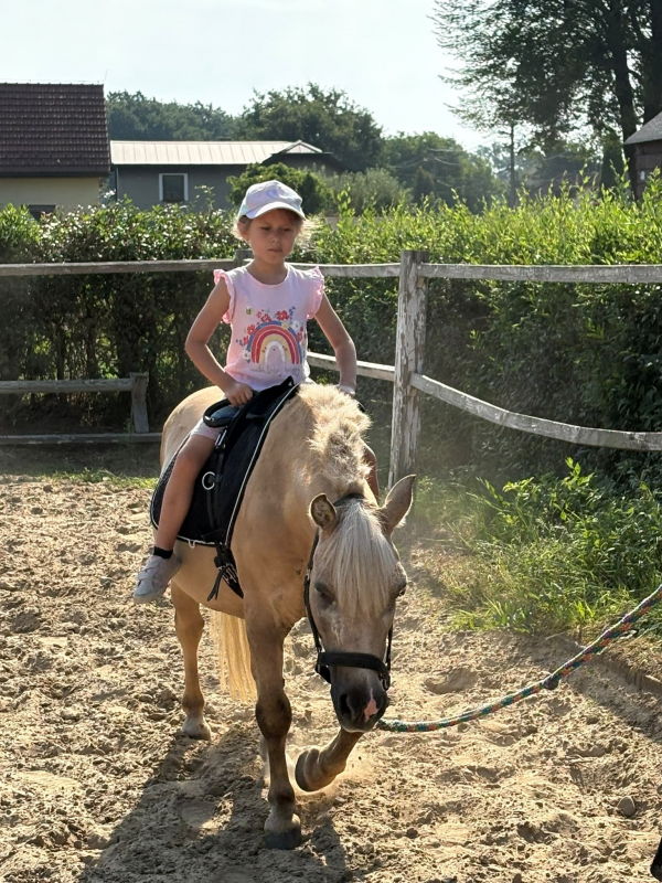 Přírodovědný příměstský tábor 27.7.-31.7. 2026