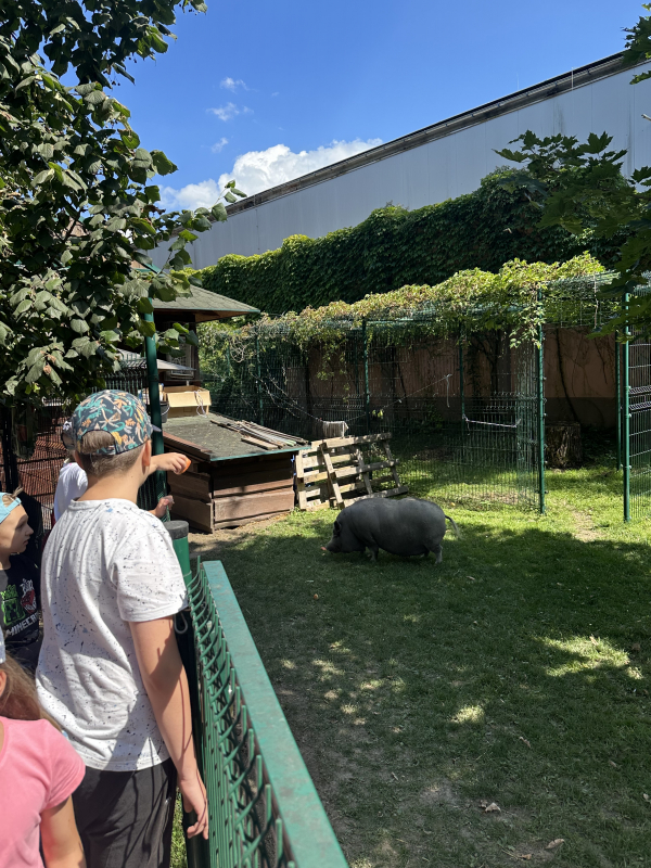 Přírodovědný příměstský tábor 27.7.-31.7. 2026