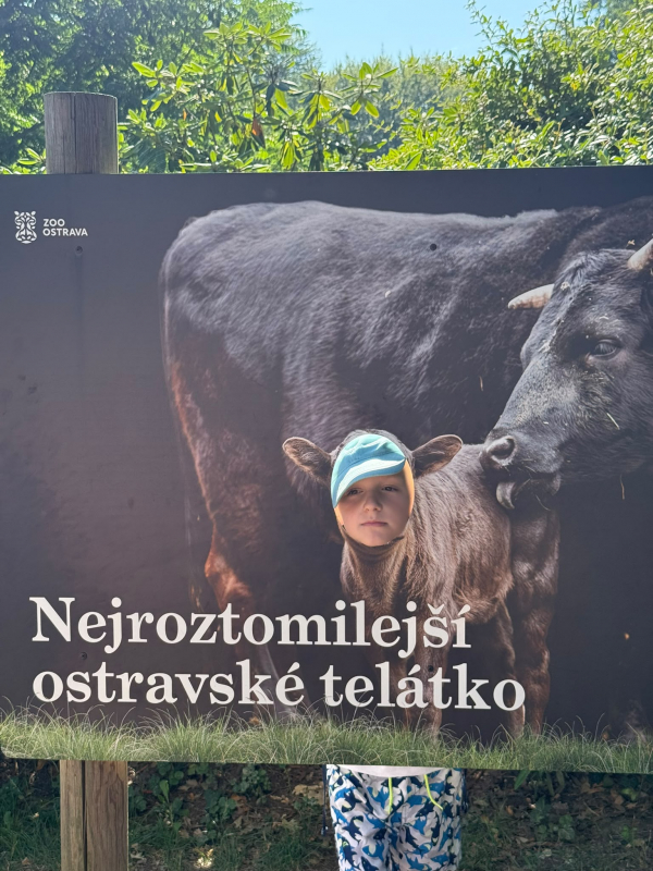Přírodovědný příměstský tábor 27.7.-31.7. 2026