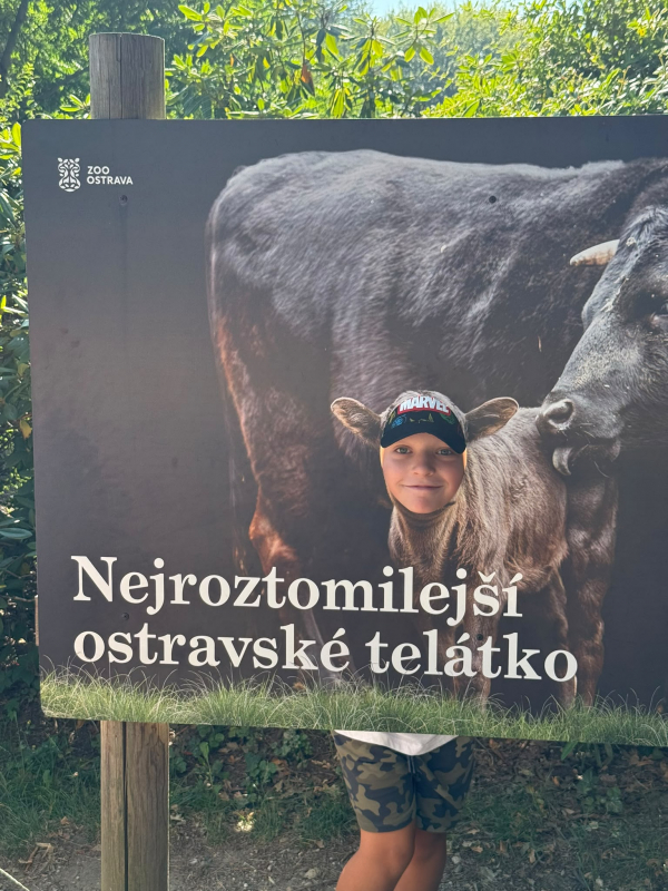 Přírodovědný příměstský tábor 27.7.-31.7. 2026