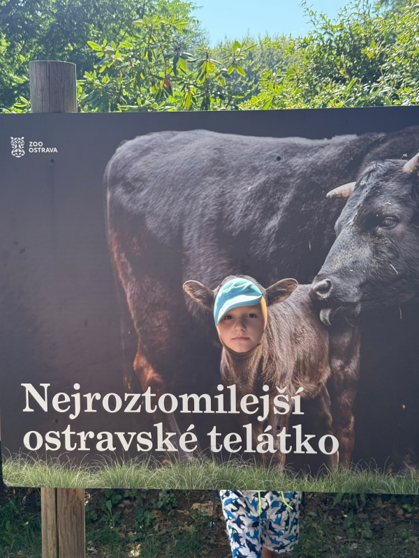 Přírodovědný příměstský tábor 27.7.-31.7. 2026