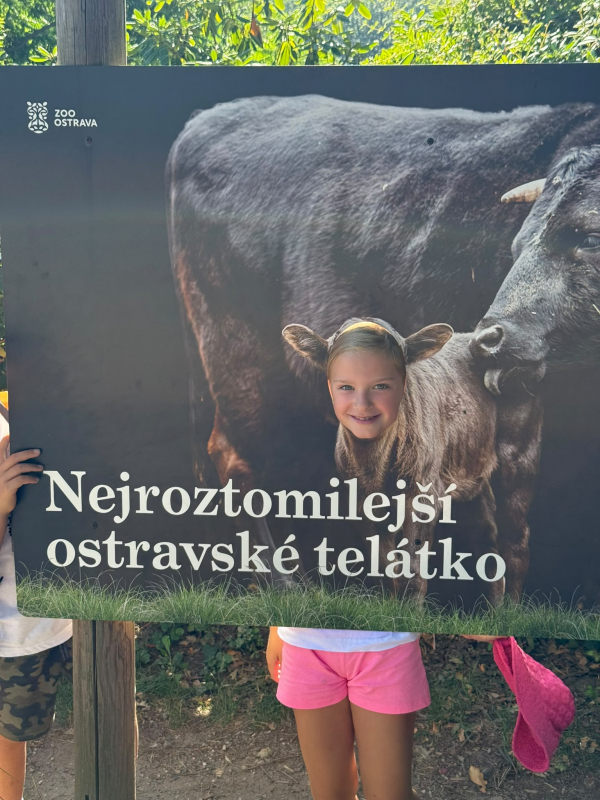 Přírodovědný příměstský tábor 27.7.-31.7. 2026