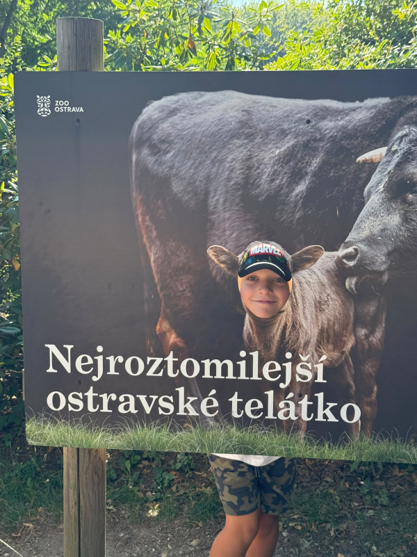 Přírodovědný příměstský tábor 27.7.-31.7. 2026