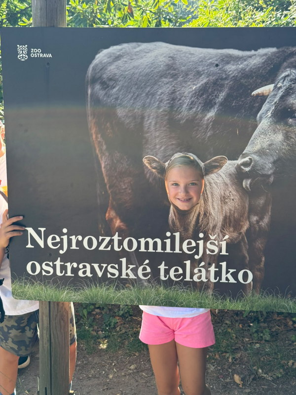 Přírodovědný příměstský tábor 27.7.-31.7. 2026