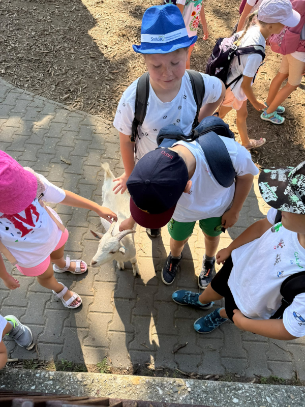 Přírodovědný příměstský tábor 27.7.-31.7. 2026