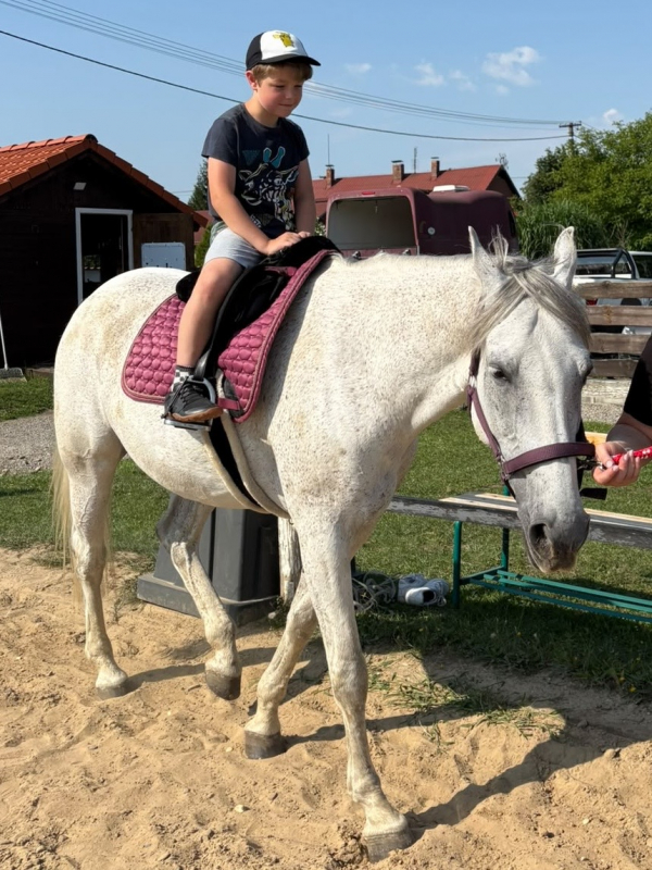 Přírodovědný příměstský tábor 27.7.-31.7. 2026