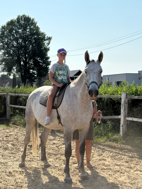 Přírodovědný příměstský tábor 27.7.-31.7. 2026