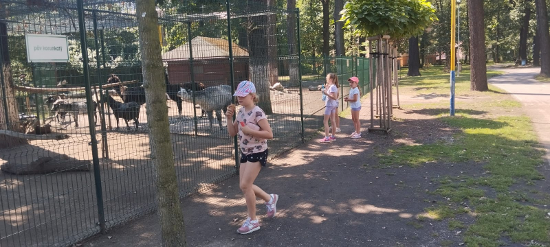 Příměstský umělecký tábor 3.8.-7.8.2026