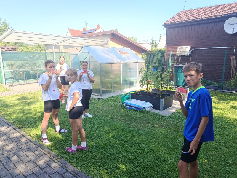 Příměstský taneční tábor II. 3.8.-7.8.2026