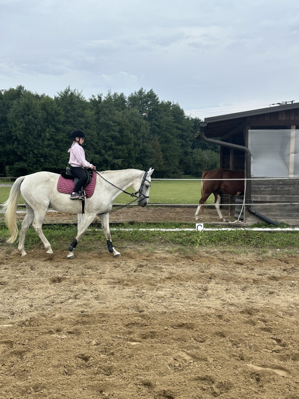 Příměstský jezdecký tábor II 24.8.- 28.8. 2026
