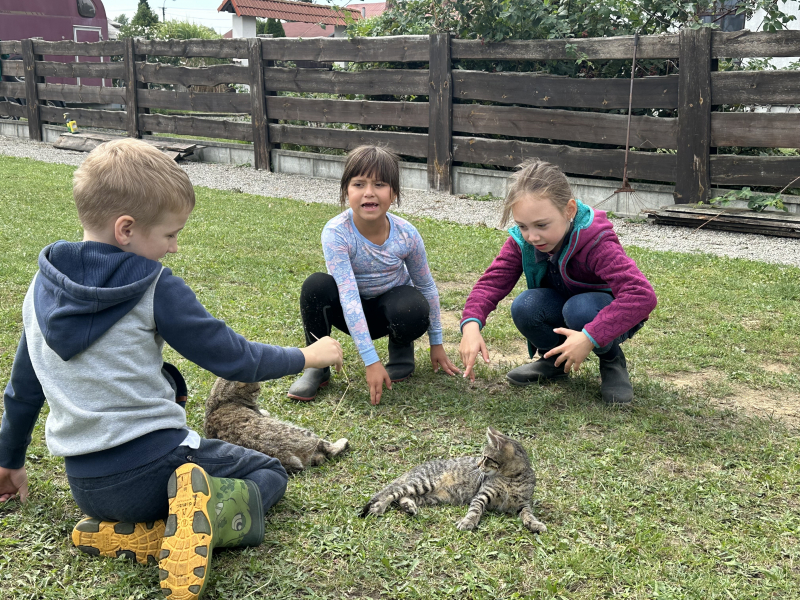 Příměstský jezdecký tábor II 24.8.- 28.8. 2026