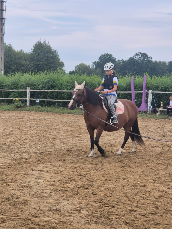 Příměstský jezdecký tábor II 24.8.- 28.8. 2026