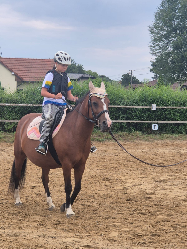 Příměstský jezdecký tábor II 24.8.- 28.8. 2026