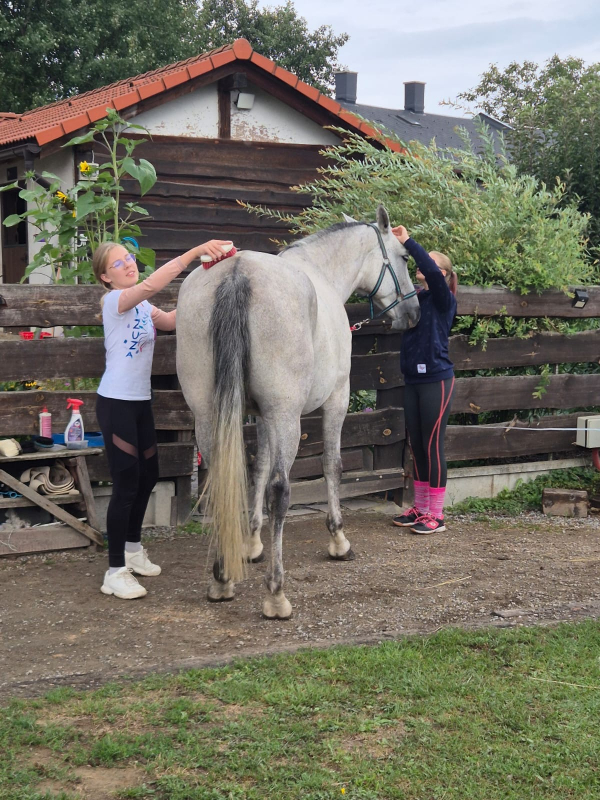 Příměstský jezdecký tábor II 24.8.- 28.8. 2026