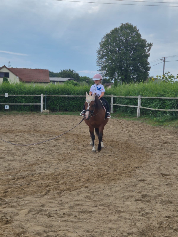 Příměstský jezdecký tábor II 24.8.- 28.8. 2026
