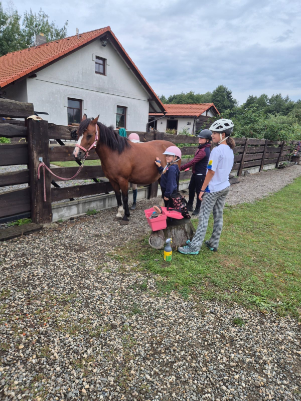 Příměstský jezdecký tábor II 24.8.- 28.8. 2026