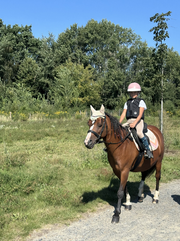 Příměstský jezdecký tábor II 24.8.- 28.8. 2026