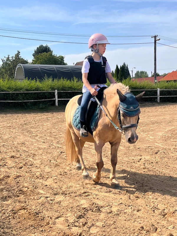 Příměstský jezdecký tábor II 24.8.- 28.8. 2026