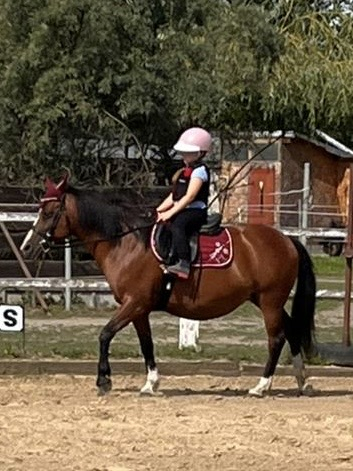 Příměstský jezdecký tábor II 24.8.- 28.8. 2026