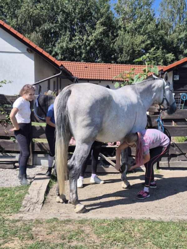 Příměstský jezdecký tábor II 24.8.- 28.8. 2026