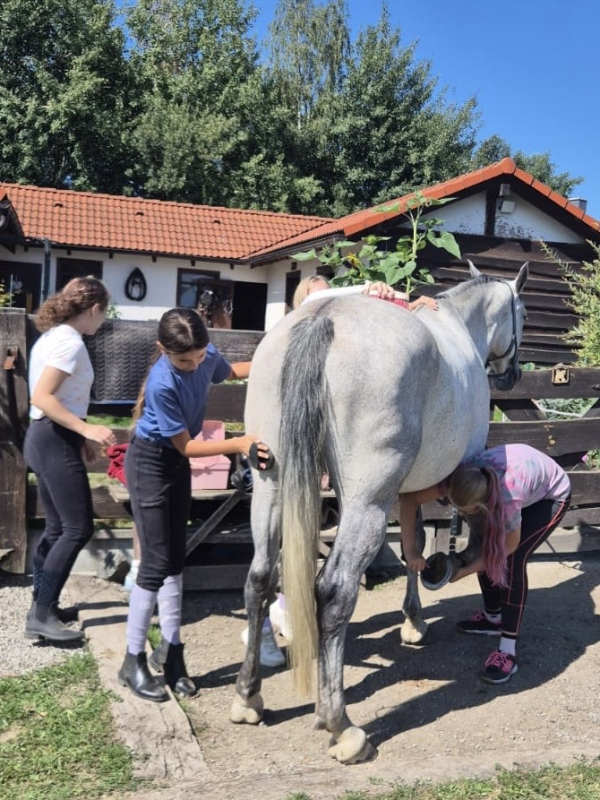Příměstský jezdecký tábor II 24.8.- 28.8. 2026
