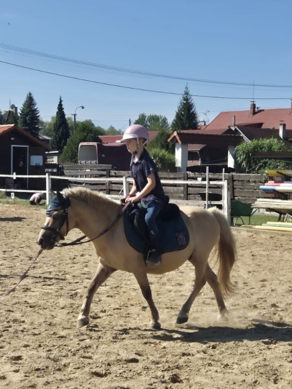 Příměstský jezdecký tábor II 24.8.- 28.8. 2026