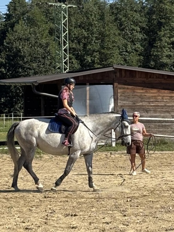 Příměstský jezdecký tábor II 24.8.- 28.8. 2026