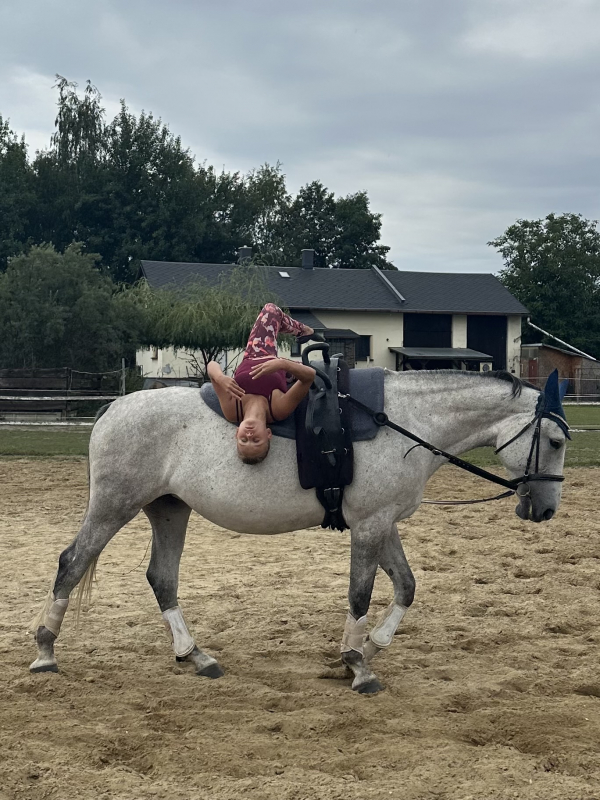 Příměstský jezdecký tábor II 24.8.- 28.8. 2026