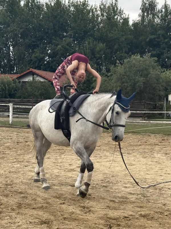 Příměstský jezdecký tábor II 24.8.- 28.8. 2026