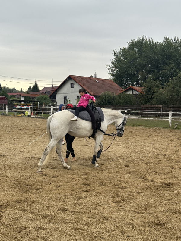 Příměstský jezdecký tábor II 24.8.- 28.8. 2026