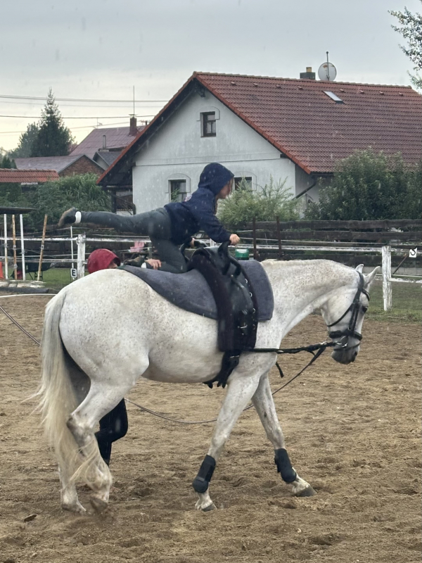 Příměstský jezdecký tábor II 24.8.- 28.8. 2026