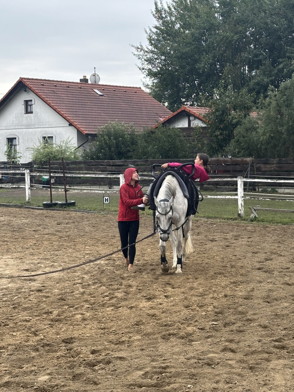 Příměstský jezdecký tábor II 24.8.- 28.8. 2026