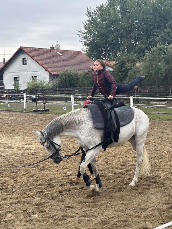 Příměstský jezdecký tábor II 24.8.- 28.8. 2026