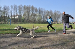 Podruhé běh se psem v Bohumíně a opět za našeho spolupořadatelství.